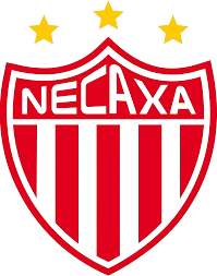 内卡萨 U19logo