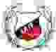 拉吉 logo