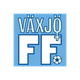 维克索女足 logo