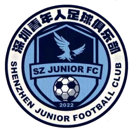 深圳青年人U15logo