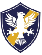 巴西复古logo