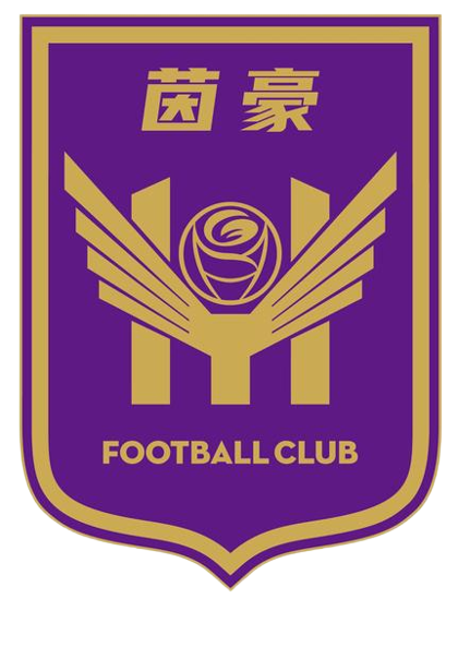 江苏无锡女足logo